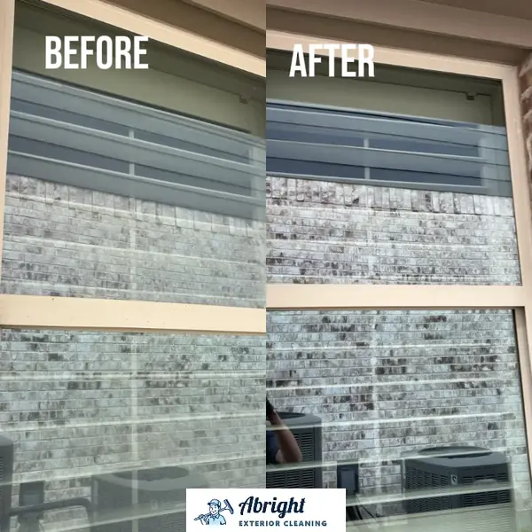 Residential Window Washing