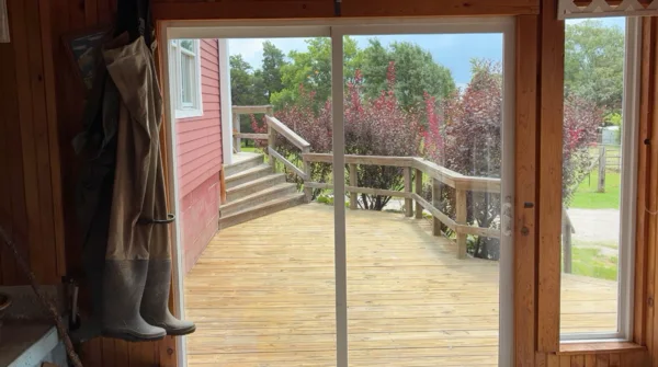 Main sunroom windows after cleaning