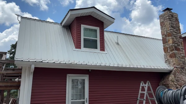 Metal roof before soft washing