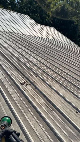 Before - front roof at the metal-roof soft-washing job in Allison, AR